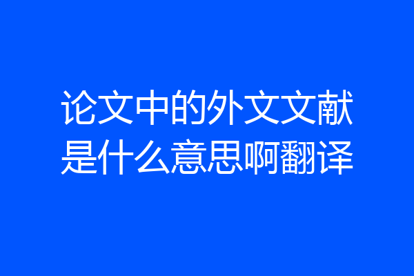 论文中的外文文献是什么意思啊翻译