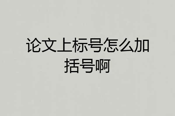论文上标号怎么加括号啊