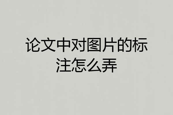 论文中对图片的标注怎么弄