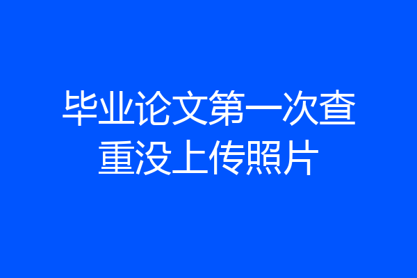 毕业论文第一次查重没上传照片