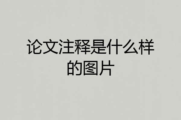 论文注释是什么样的图片