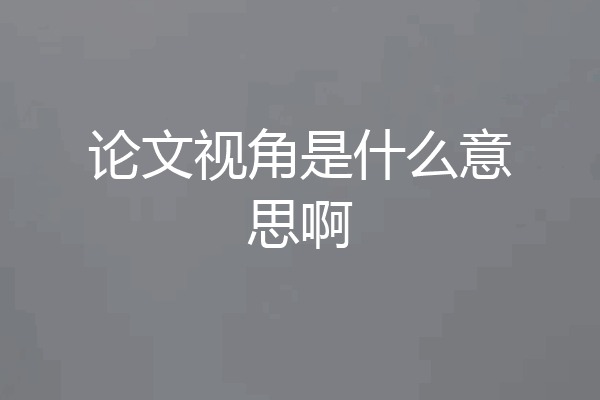论文视角是什么意思啊