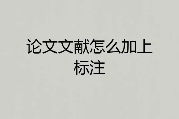 论文文献怎么加上标注