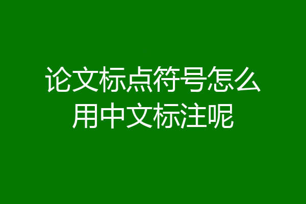 论文标点符号怎么用中文标注呢