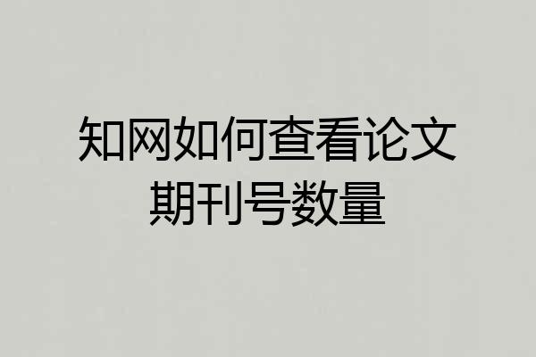知网如何查看论文期刊号数量