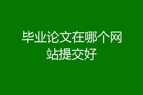 毕业论文在哪个网站提交好