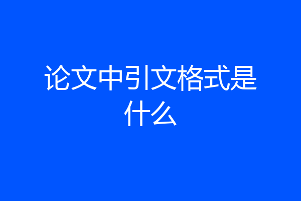 论文中引文格式是什么
