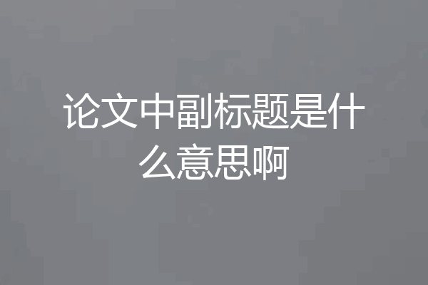 论文中副标题是什么意思啊