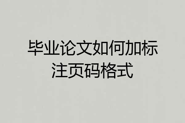 毕业论文如何加标注页码格式