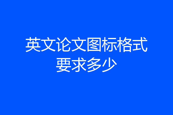 英文论文图标格式要求多少