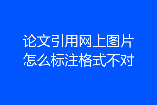 论文引用网上图片怎么标注格式不对