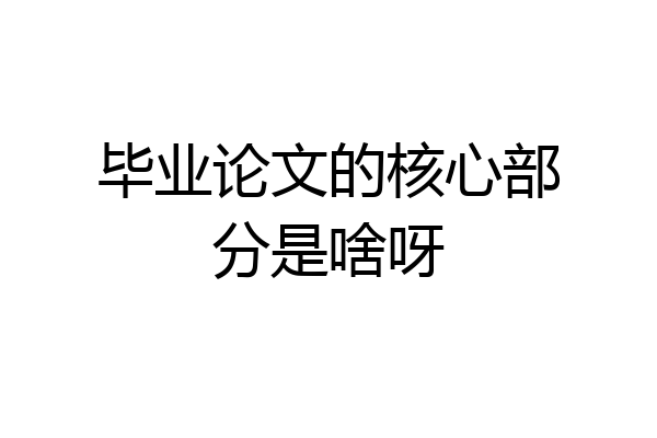 毕业论文的核心部分是啥呀