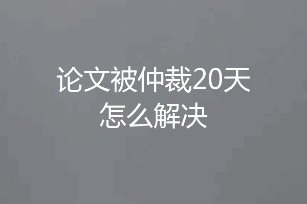 论文被仲裁20天怎么解决