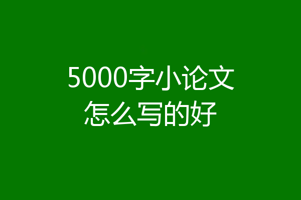 5000字小论文怎么写的好