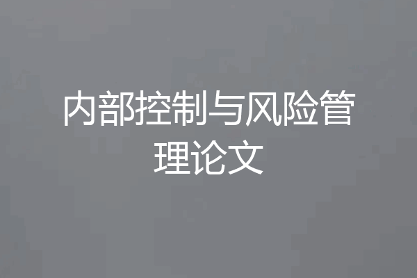 内部控制与风险管理论文