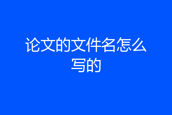 论文的文件名怎么写的