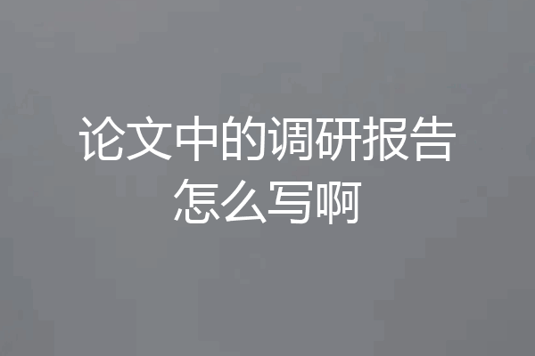 论文中的调研报告怎么写啊