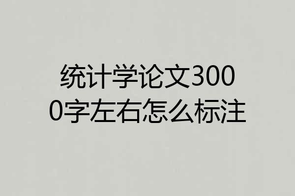 统计学论文3000字左右怎么标注