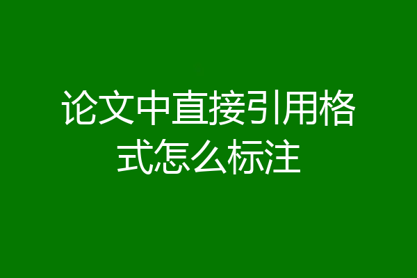 论文中直接引用格式怎么标注
