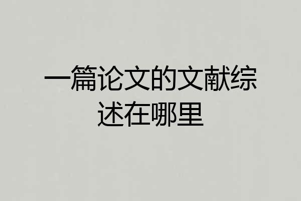 一篇论文的文献综述在哪里