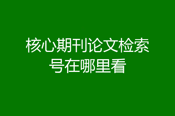 核心期刊论文检索号在哪里看