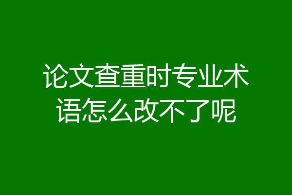 论文查重时专业术语怎么改不了呢