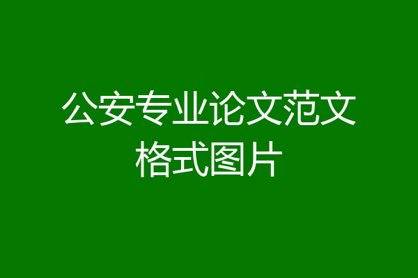 公安专业论文范文格式图片