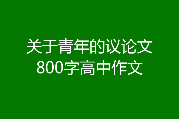 关于青年的议论文800字高中作文