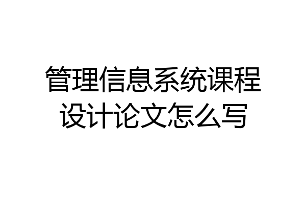 管理信息系统课程设计论文怎么写