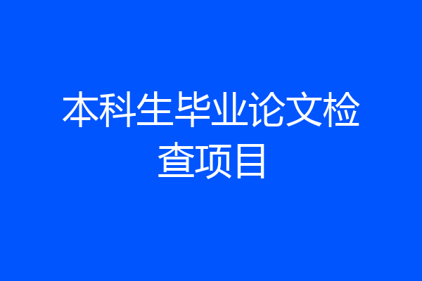 本科生毕业论文检查项目