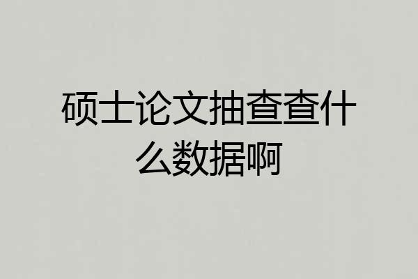 硕士论文抽查查什么数据啊