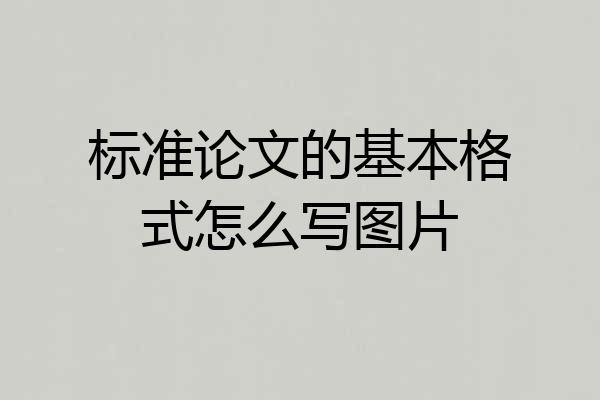 标准论文的基本格式怎么写图片