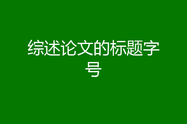 综述论文的标题字号