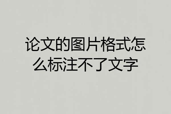 论文的图片格式怎么标注不了文字