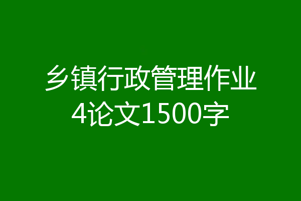 乡镇行政管理作业4论文1500字