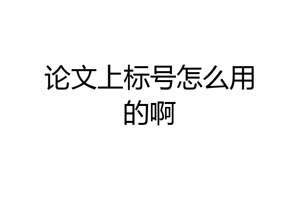 论文上标号怎么用的啊