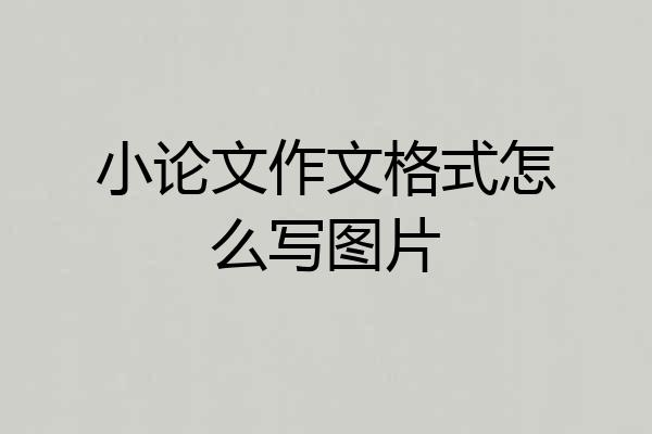 小论文作文格式怎么写图片