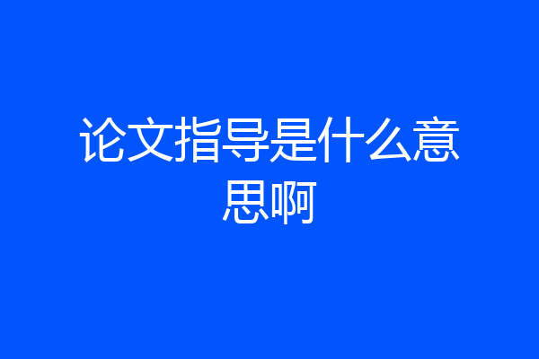 论文指导是什么意思啊