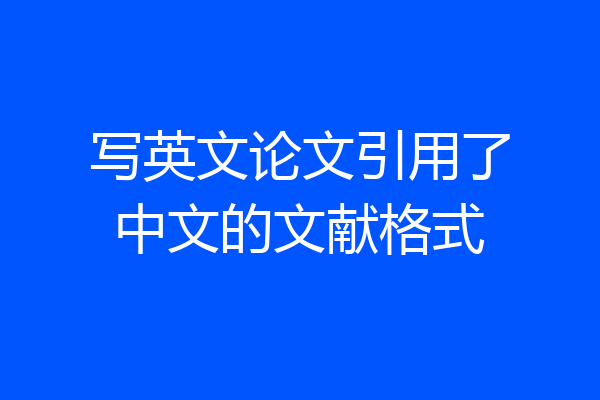 写英文论文引用了中文的文献格式