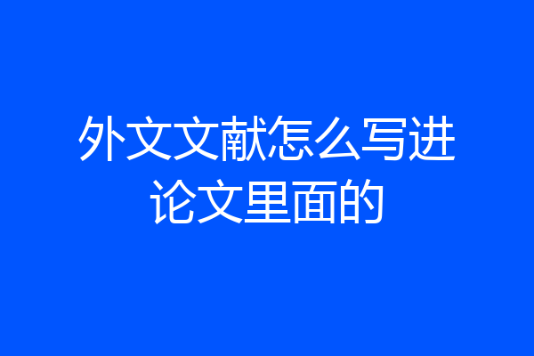 外文文献怎么写进论文里面的