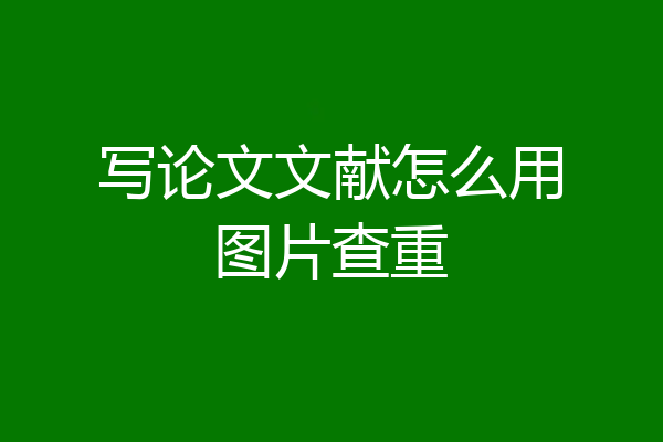 写论文文献怎么用图片查重