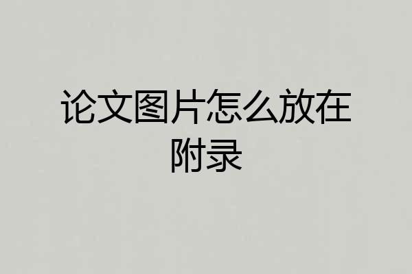 论文图片怎么放在附录