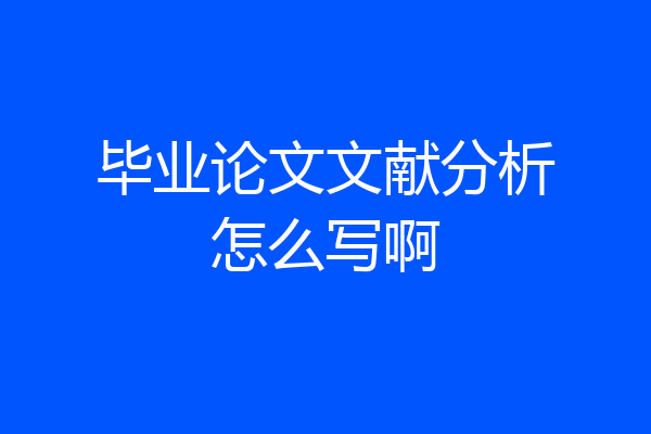 毕业论文文献分析怎么写啊