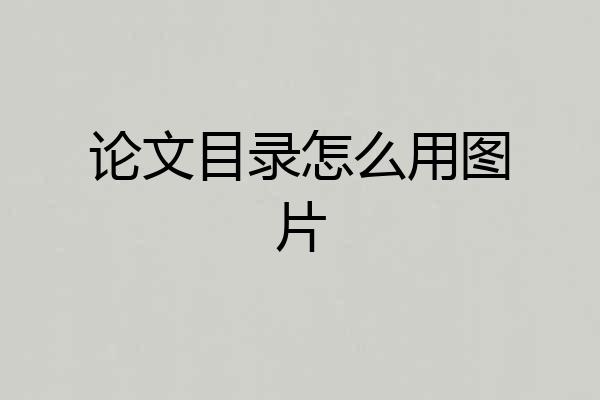 论文目录怎么用图片