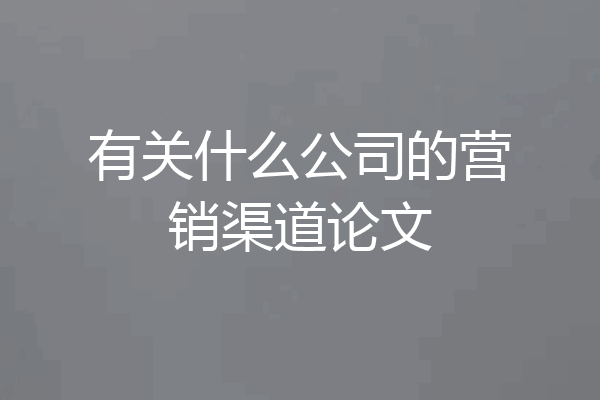 有关什么公司的营销渠道论文