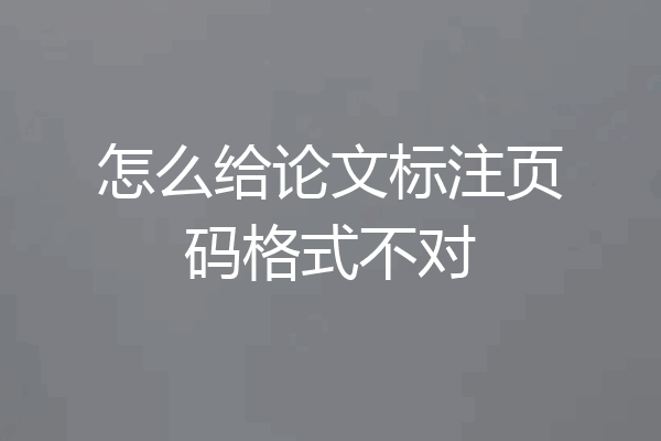 怎么给论文标注页码格式不对