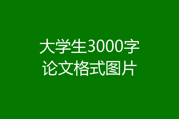 大学生3000字论文格式图片