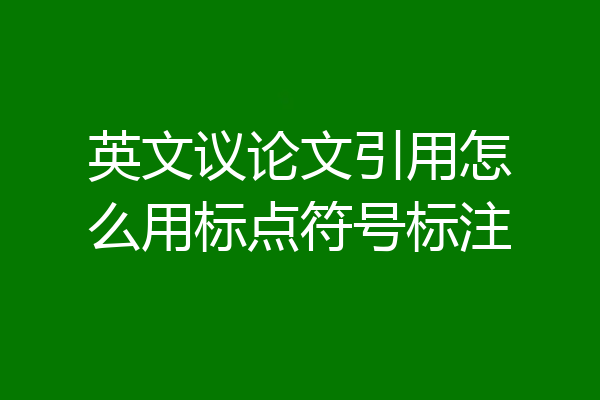 英文议论文引用怎么用标点符号标注
