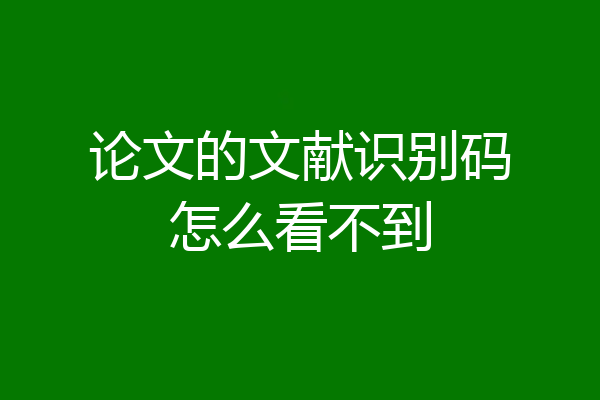 论文的文献识别码怎么看不到