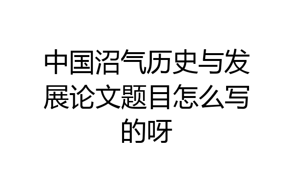 中国沼气历史与发展论文题目怎么写的呀